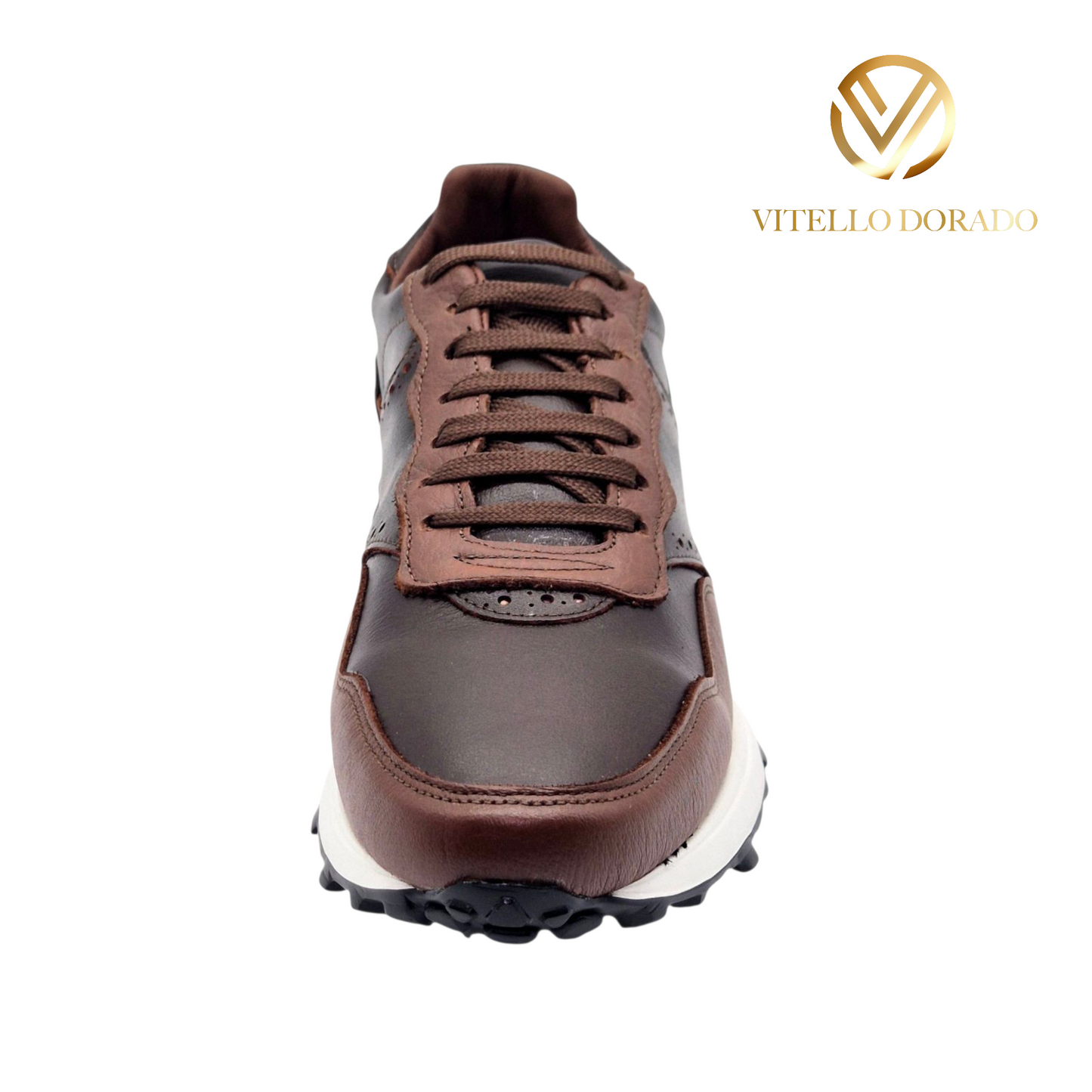 Sneakers Santino Café/Shedron